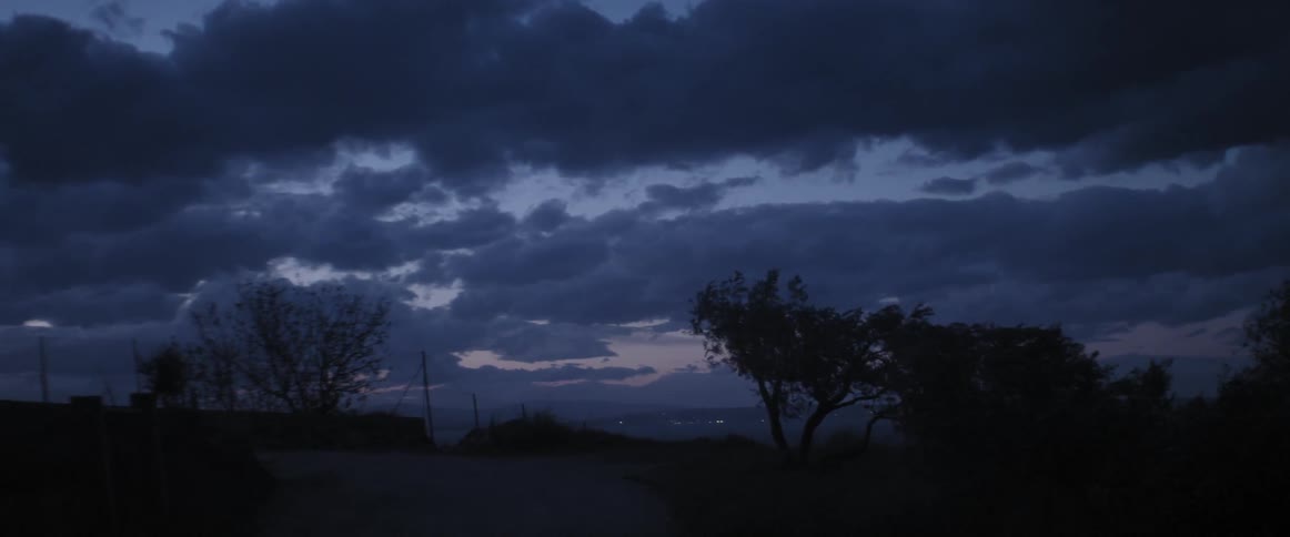 Windy field on a cloudy sunset