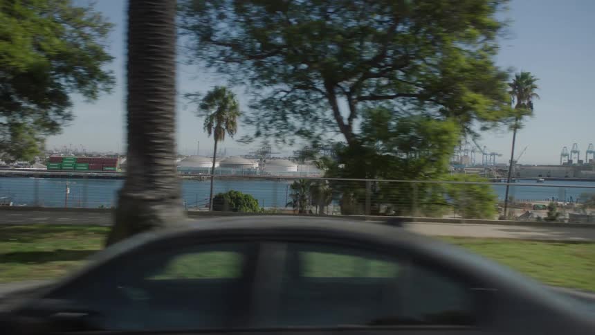 Vehicle driving by a park with a body of water palm trees in the background