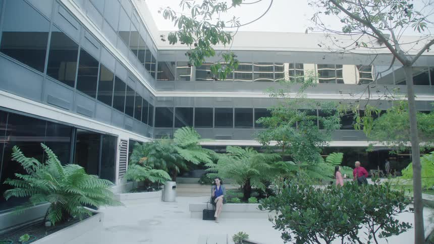 A woman is sitting outside a white building and there are several plans around her