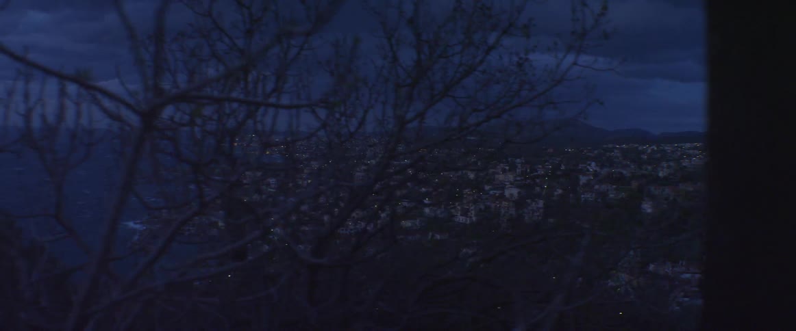 City skyline by the sea at night