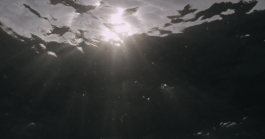 Rays of light shining through the water surface