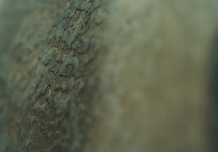 A rock with various patterns on its surface
