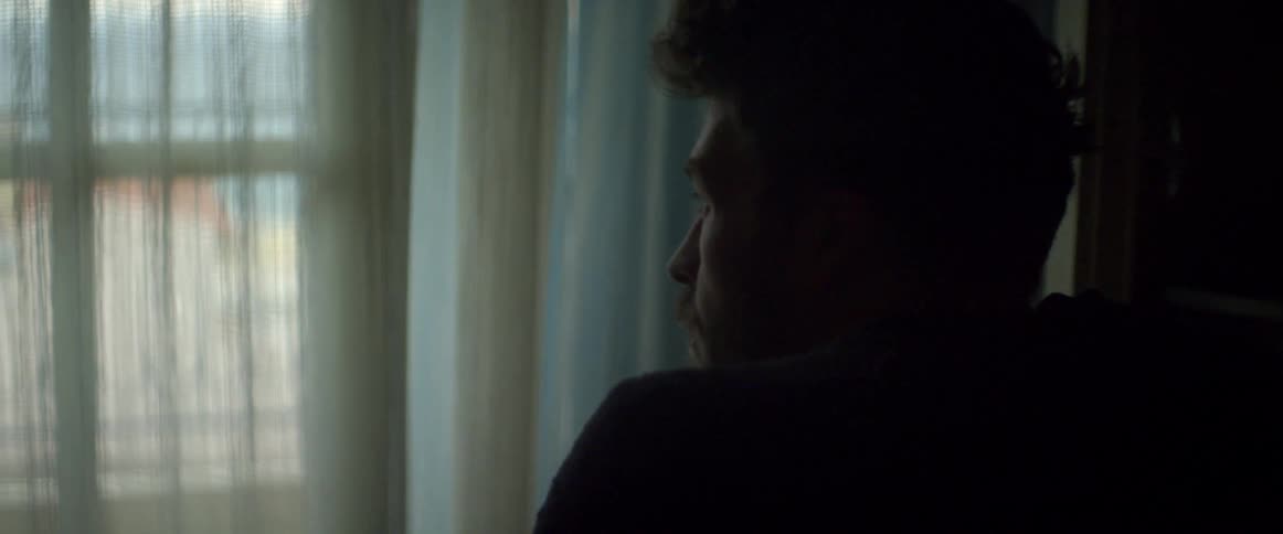 A man looks out a window