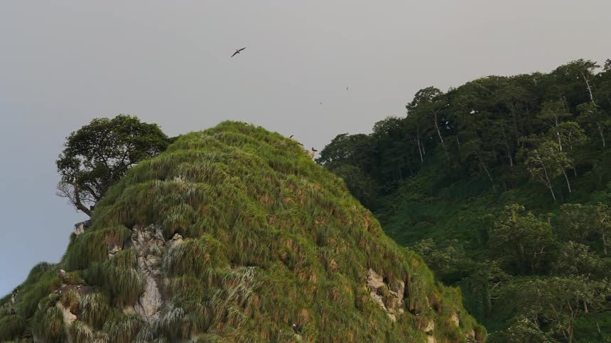 Rocky coast with mungs and birds flying