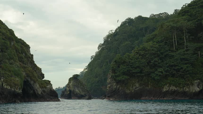Birds fly over islet in water between forested shores