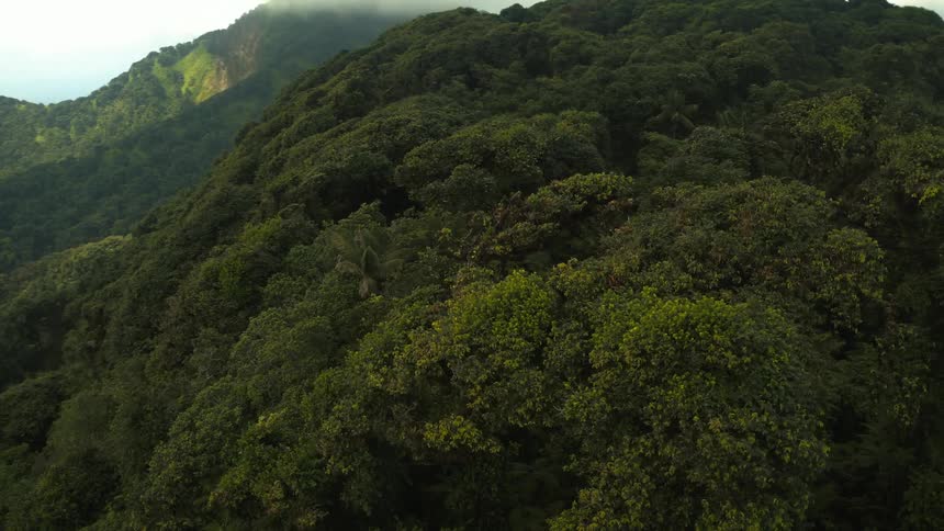Low lying clouds hover over forest covered mountains