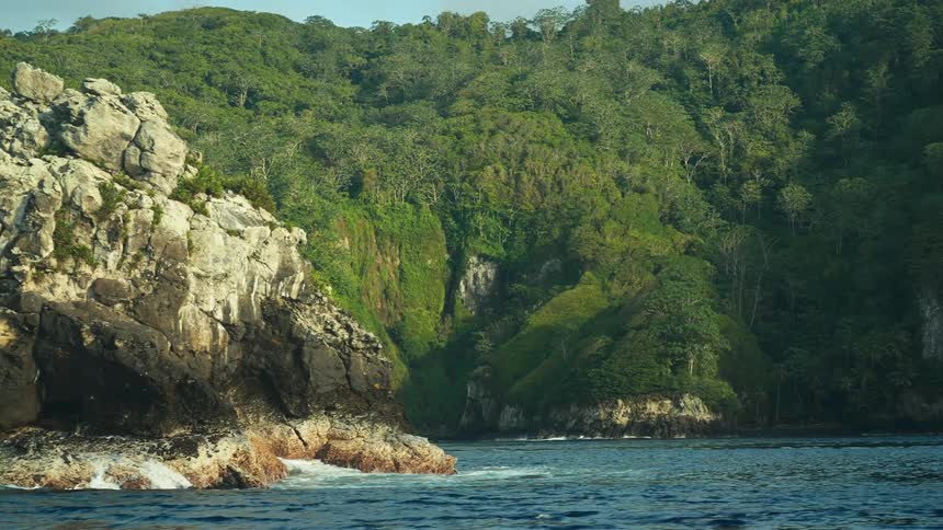 An island with lots of trees and vegetation and in front there is a huge rock in the sea