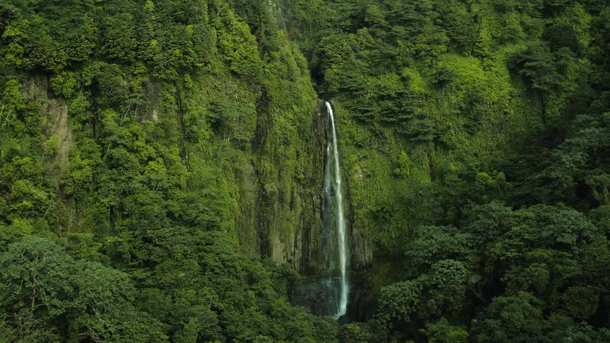 A cascading waterfall tumbles down mosscovered rocks into a clear pool in a lush green forest