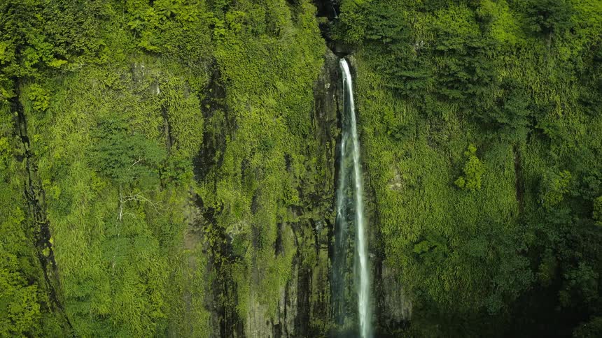 A small waterfall coming out of a rock on a large mossy wall