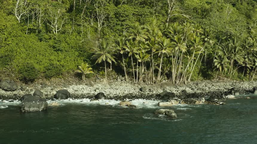 A sea coast with many rocks and some palm trees