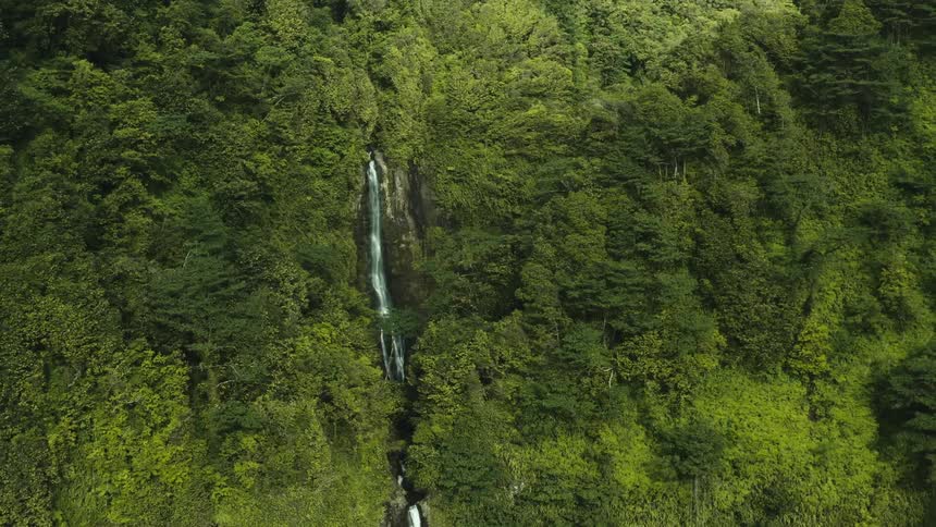 Aerial view of a waterfall and a green forest