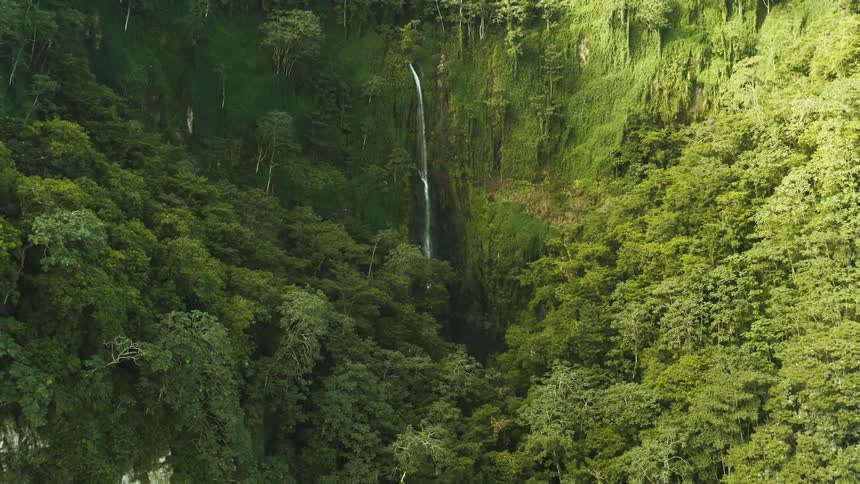 A small waterfall on a mossy stone wall with lots of trees around