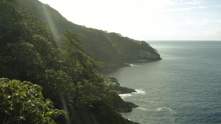 A sea coast with a land with a large forest of trees with green leaves and a strong sunlight coming from above