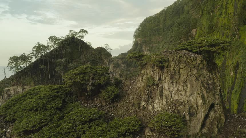 Coastal cliffs and rock formations covered with vegetation and trees birds circling them
