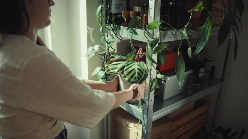 Woman placing a flower vase on a shelf indoors