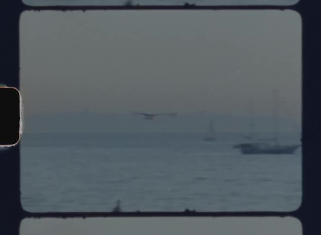 A seagull flying over the sea with boats in the background