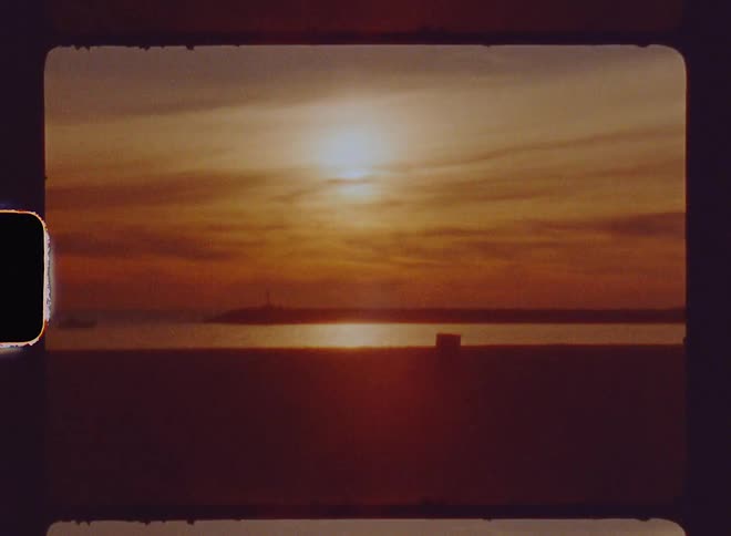 Bird flies over beach as sun shines across ocean water