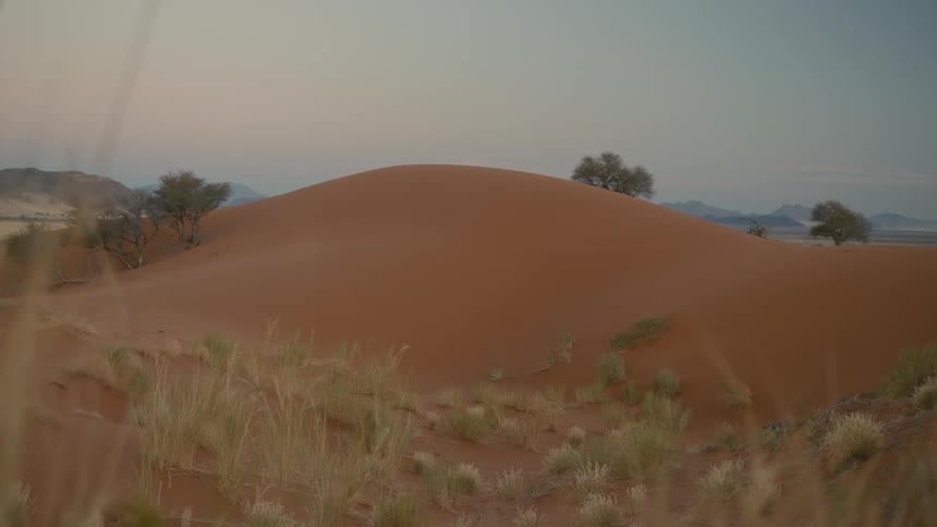 Landscape of a sand dune in the desert