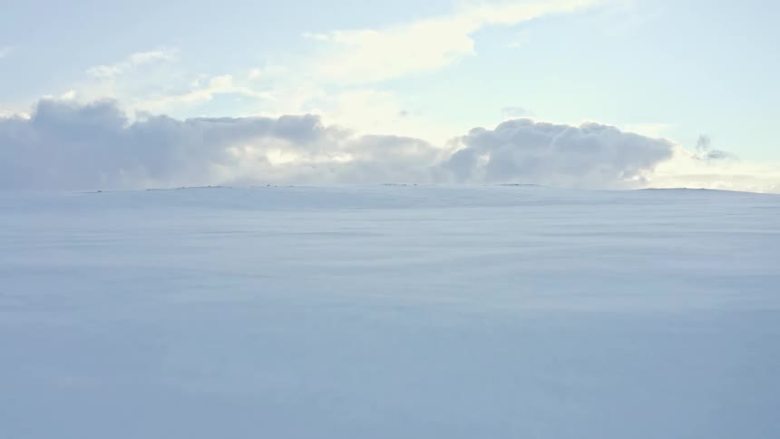 Snow stretches to the horizon of a flat area