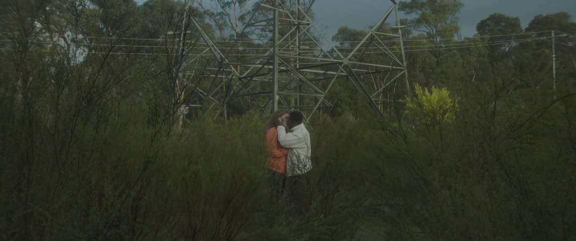 A young couple passionately kissing in a field with tall grass and electric pylons
