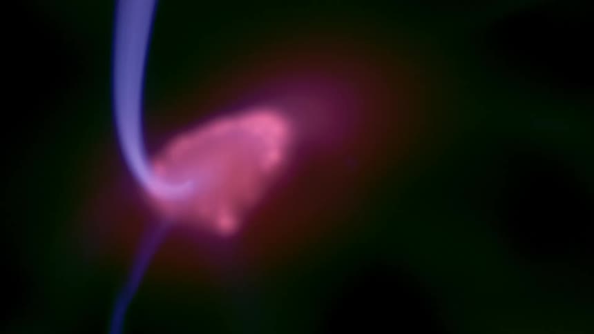 Abstract neon lights in motion against a black background