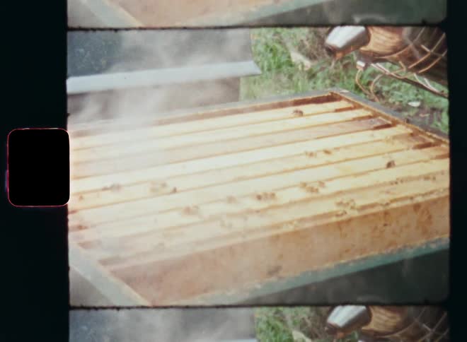 Beekeeper or unrecognizable person sprays steam or smoke on the wooden box of his beehive with frames and bees crawling around after opening the lid to check his colony of honey bees to see if they are collecting enough organic honey