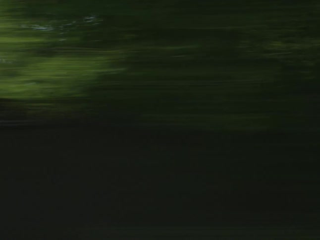 A view from a moving vehicle showing a guardrail and vegetation