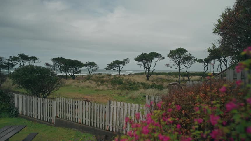 Trees dot backyard of coastal house on an overcast day