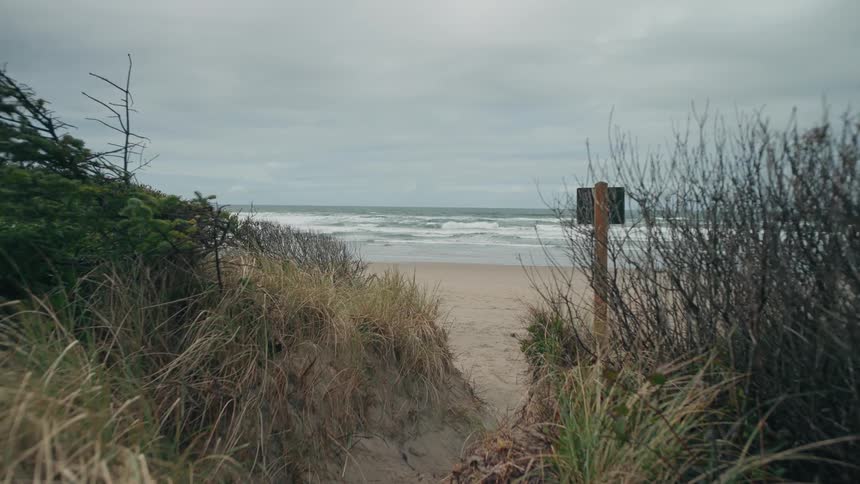 Trail that leads to a beach on a cloudy day