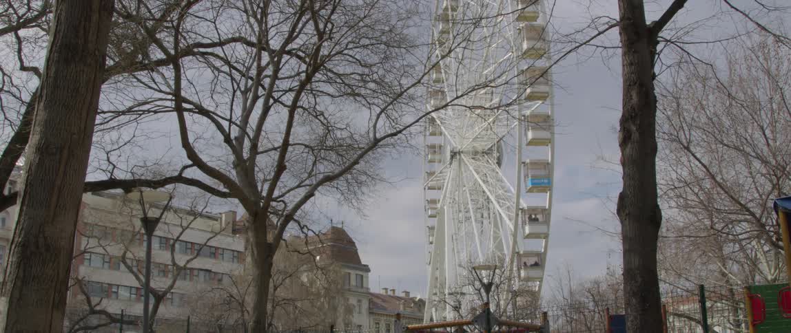 A ferris wheel with surrounded by bare trees against a cloudy sky