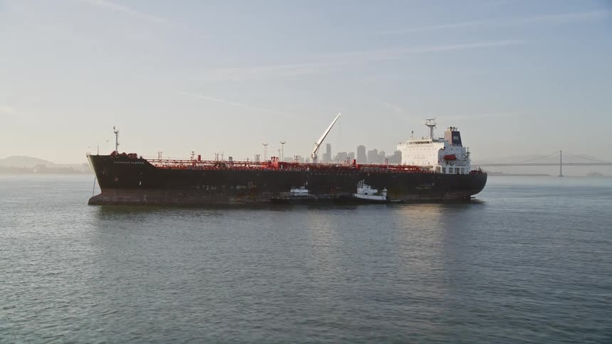 Industrial and container ships in the middle of the sea with a metropolis on the horizon