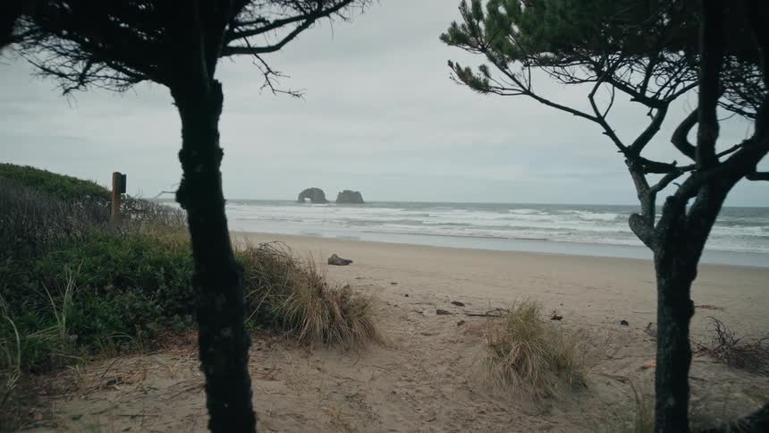 Landscape of trees and a short trail leading to a beach
