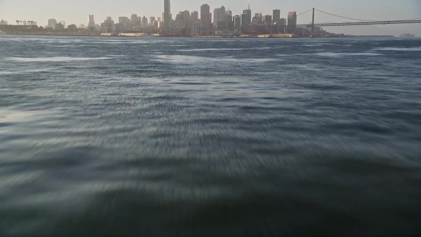 Algae floats in bay water near a coastal city
