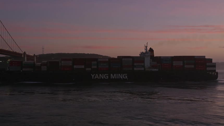 Birds fly past the container ship approaching a suspension bridge as night falls