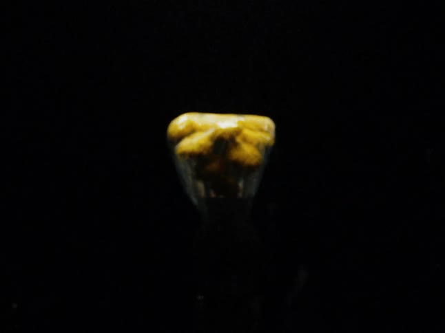 An bouquet of yellow flowers wrapped in plastic against a dark background