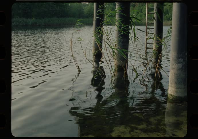 Tall grass and concrete pole partially submerged in a calm body of water