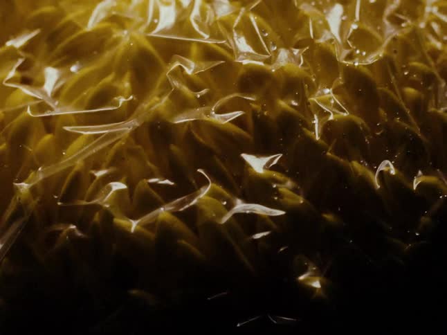 The object with plastic texture is dented and it is golden with some dark parts