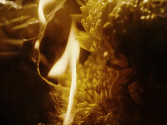 Flames burn away plastic wrapping a bouquet of flowers