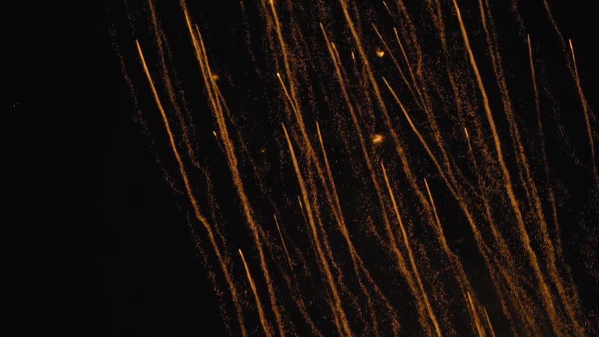 Fireworks exploding in the night sky