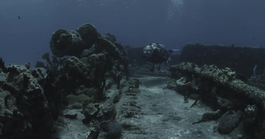 A diver swims along the ocean floor
