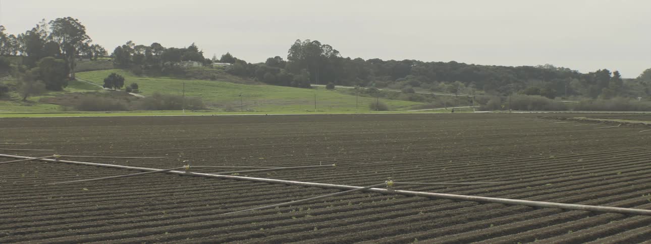 A motorcycle speeds on a road next to a vast agricultural field