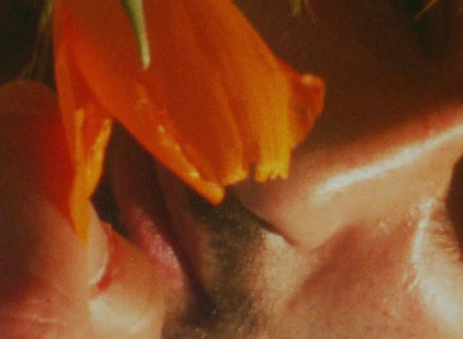 Close up of the face of a man smelling a red wild flower