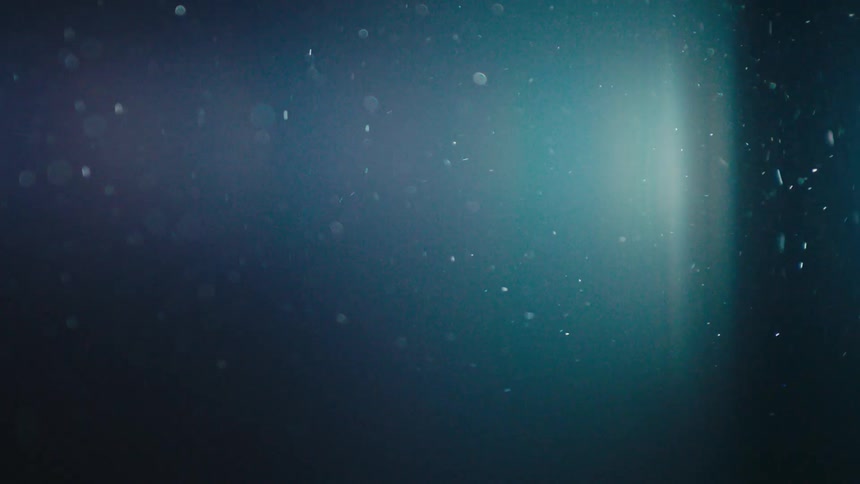 Dust particles floating in the air