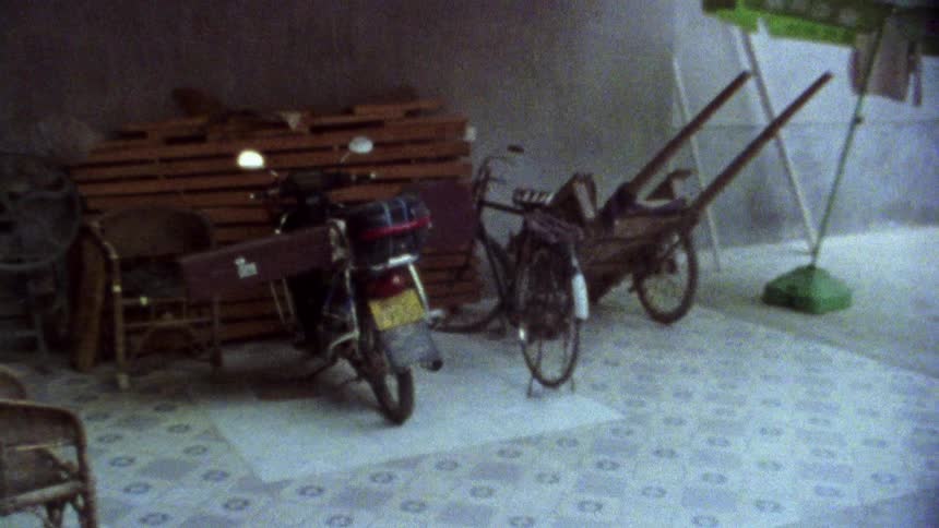 Bicycle and a motorcycle parked in a backyard