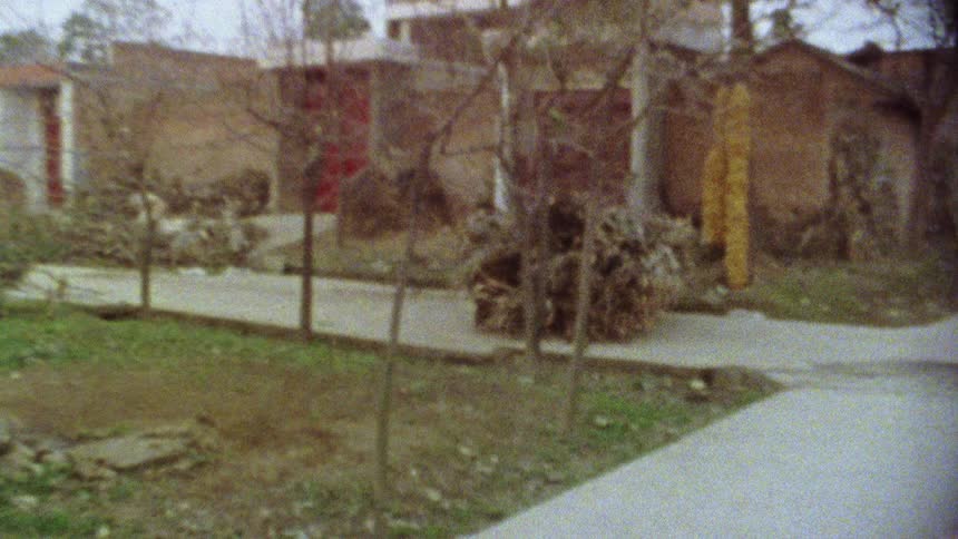 A person pulling a cart with a large bundle of sticks and branches caught on vintage film