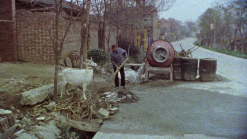A farmer is sweeping near his goat