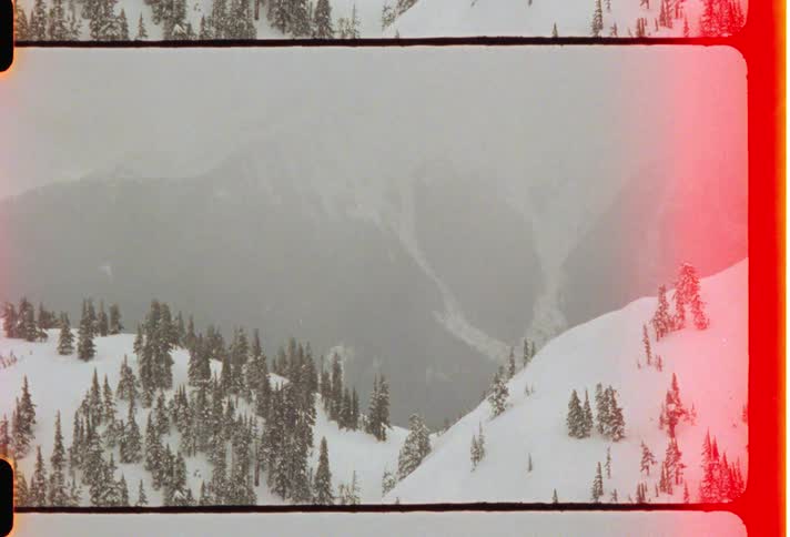 Fog obscured mountain towers over forested snow covered slopes during winter