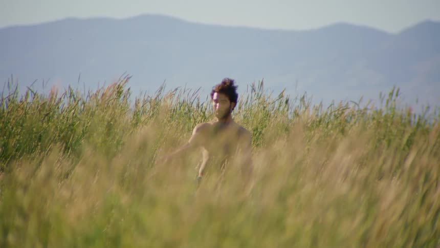 A young shirtless man dances on a field of tall grass on a sunny day