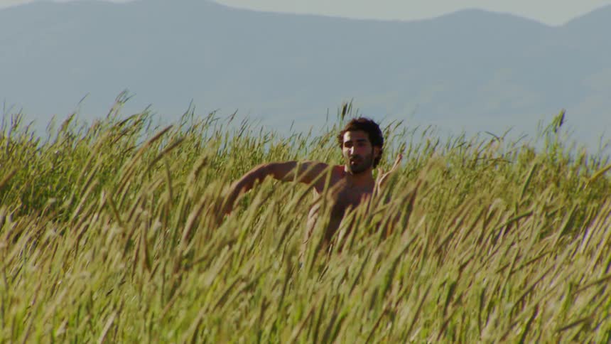 Man dancing artistically without a shirt amidst vegetation on a hill