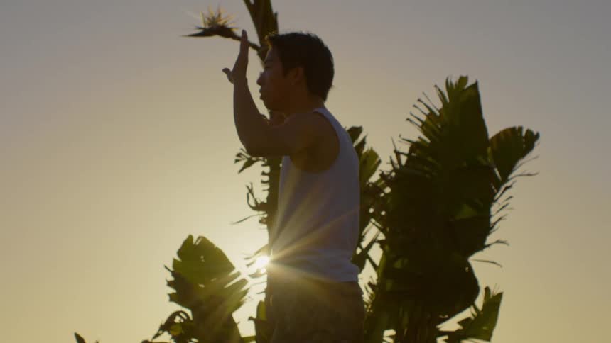 Man dancing against vegetation with sunlight